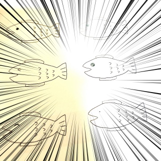 �T�P�ł��i����j